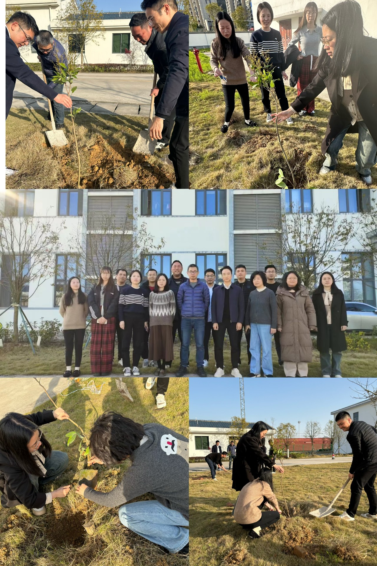 2024-3-12綠色陸港，美麗寧德，阮克妙拍攝.jpg
